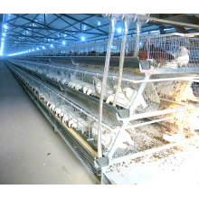 Broiler-Geflügelfarm mit automatischer Hühnerkäfig-Ausrüstung